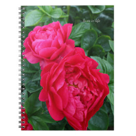 Caderno Espiral Penônio Rosa Vermelho