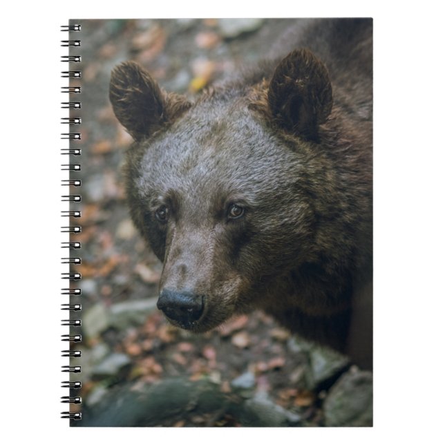CADERNO ESPIRAL PENSAMENTOS BARATOS (Frente)