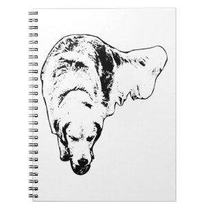 Caderno Espiral Pensamentos Lantern-Lit