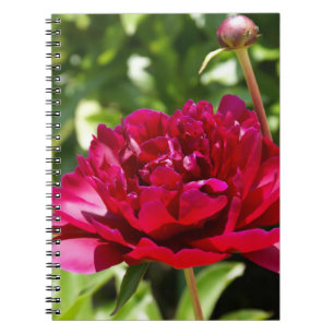 Caderno Espiral Peões de veludo da Maroon Escuro