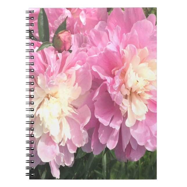 Caderno Espiral Peônias cor-de-rosa (Frente)