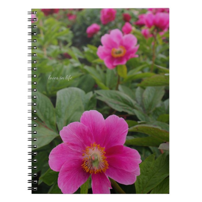 Caderno Espiral Peônias cor-de-rosa solteiro (Frente)