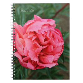 Caderno Espiral Peony Rosa cheio