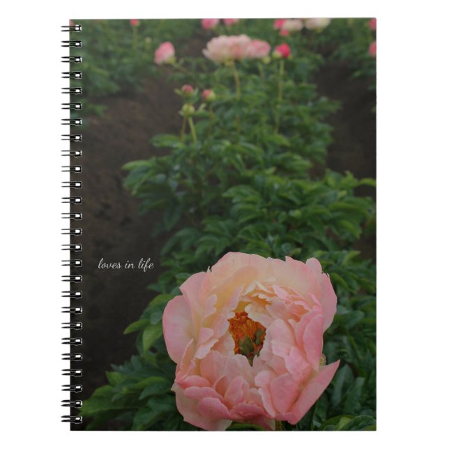 Caderno Espiral Peony Rosa Independente (Frente)