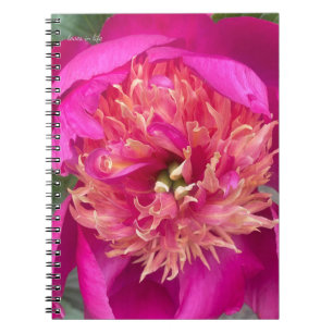 Caderno Espiral Peony Rosa Quente Aproximado