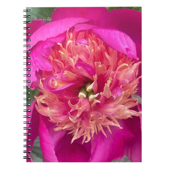 Caderno Espiral Peony Rosa Quente Aproximado (Frente)