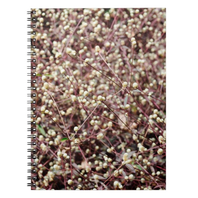 Caderno Espiral Pequena bolinha em forma de arbusto branco selvage (Frente)