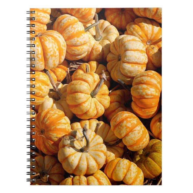 Caderno Espiral pequenas abóboras na pilha (Frente)