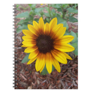 Caderno Espiral Pequeno girassol em um notebook