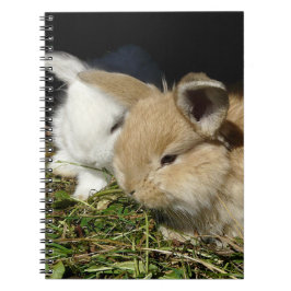 Caderno Espiral Pequenos coelhos fofos bonitos