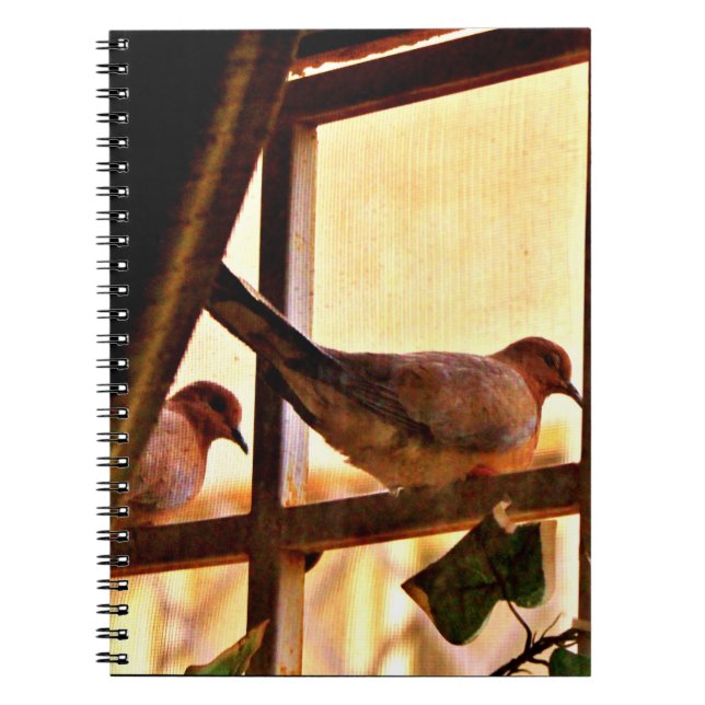Caderno Espiral Pequenos Doves (Frente)