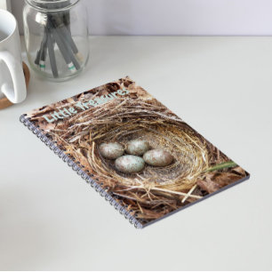 Caderno Espiral Pequenos Tesouros Ovos de Ninho de Pássaro