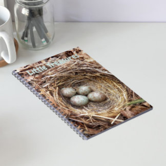 Caderno Espiral Pequenos Tesouros Ovos de Ninho de Pássaro