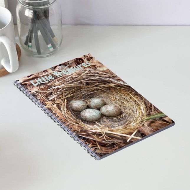 Caderno Espiral Pequenos Tesouros Ovos de Ninho de Pássaro (In Situ)