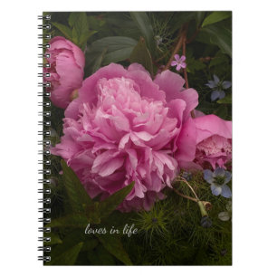 Caderno Espiral Pequim Rosa e Amor-em-neblina