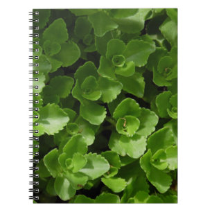 Caderno Espiral Perdida em Folhas