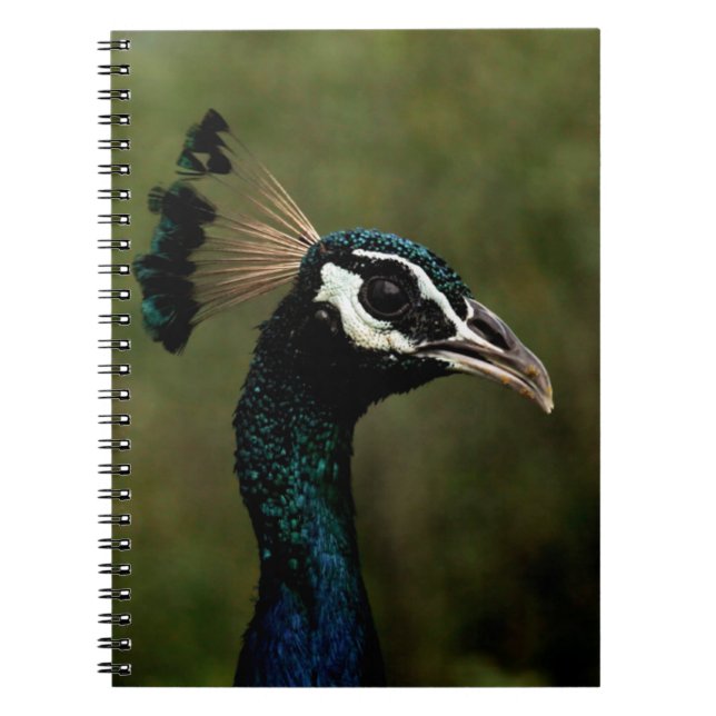 Caderno Espiral Perfil de Peacock (Frente)