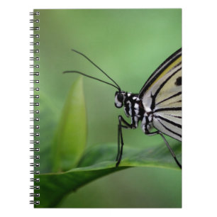 Caderno Espiral Perfil de uma pipa de papel