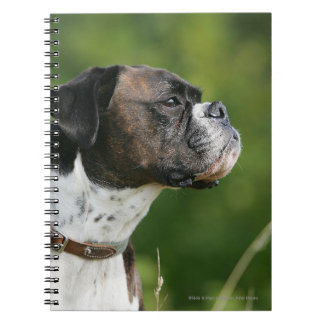 Caderno Espiral Perfil do cão do pugilista