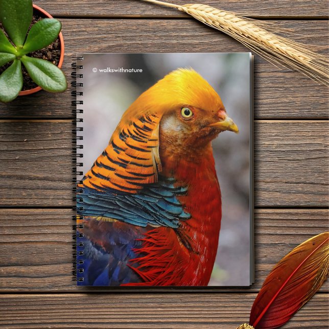 Caderno Espiral Perfil impressionante de um faisão de Ouro vermelh (Profile of a Red Golden Pheasant Journal Cover Photo)