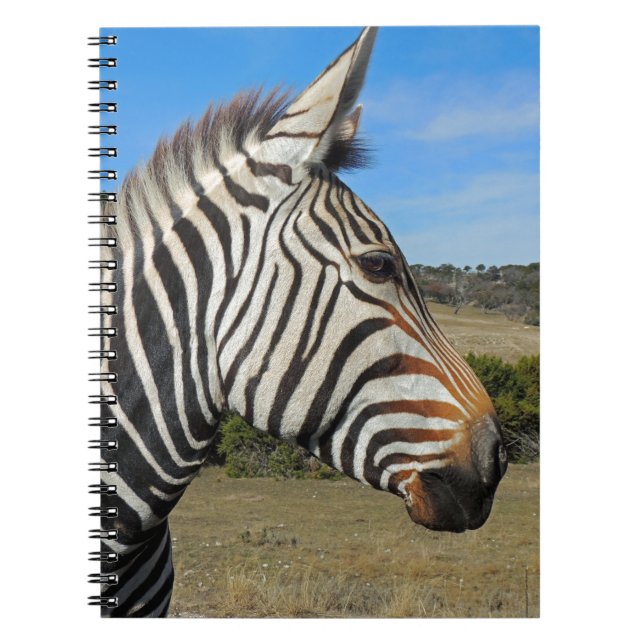 Caderno Espiral Perfil Zebra de Hartmann em Fossil Rim (Frente)