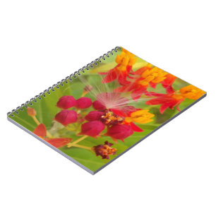 Caderno Espiral Personalizar produto