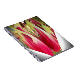 Caderno Espiral Personalizar produto