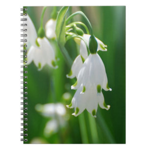 Caderno Espiral Personalize o produto