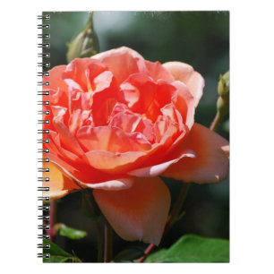 Caderno Espiral Personalize o produto