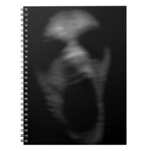 Caderno Espiral Perturbações Mentais Caindo