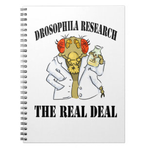 Caderno Espiral Pesquisa da drosófila