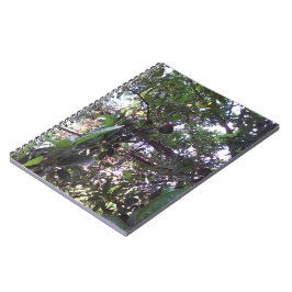 Caderno Espiral Pessegueiro