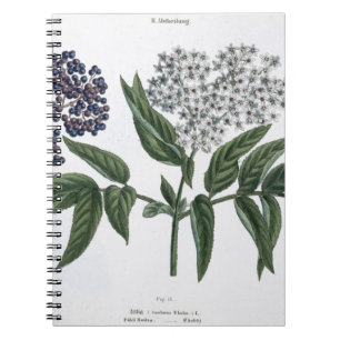 Caderno Espiral Pessoa idosa, Fig. 13 "do Landsman novo", publishe