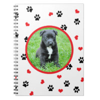 pet a foto com teste padrão doce bonito da pata e