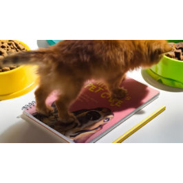 Caderno Espiral Pet Care Sitting Bathing Grooming Salon Comida Com