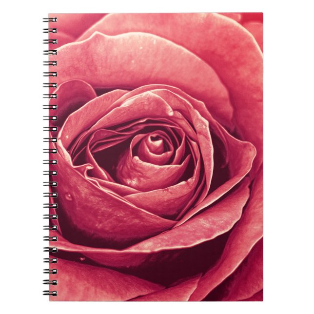 Caderno Espiral Pétalas de A Rosa (Frente)