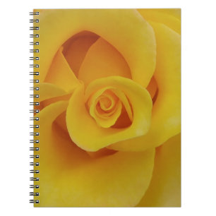 Caderno Espiral Pétalas de Rosa Amarelas Românticas
