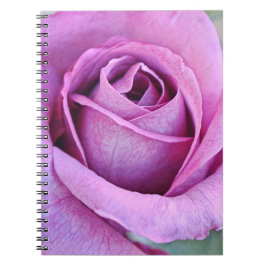 Caderno Espiral Pétalas Rosa púrpuras do Jardim de Gertie