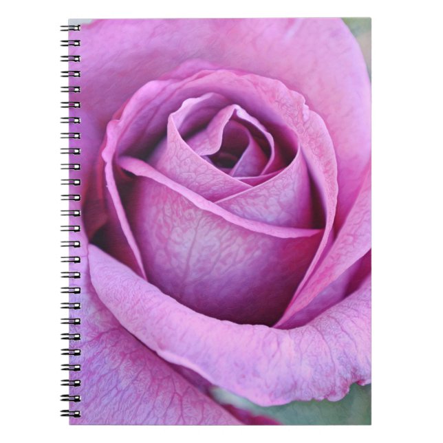 Caderno Espiral Pétalas Rosa púrpuras do Jardim de Gertie (Frente)