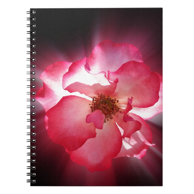 Caderno Espiral pétalas vermelhas claras (Frente)