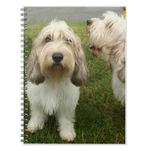 Caderno Espiral Petit Basette Griffon Vendeen