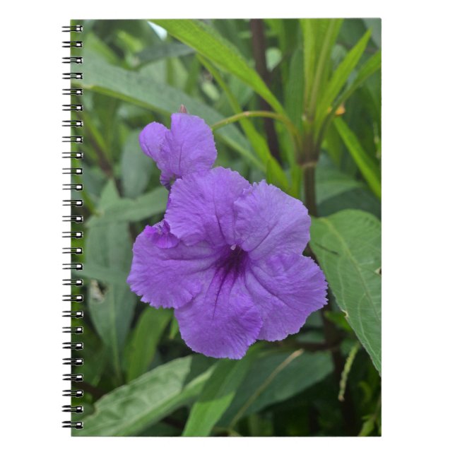 Caderno Espiral Petunia mexicana (Frente)