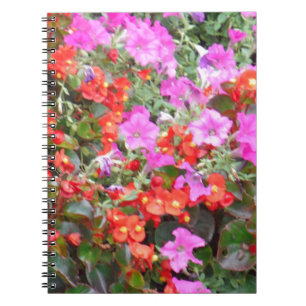 Caderno Espiral Petúnia rosa e gerânios vermelhos