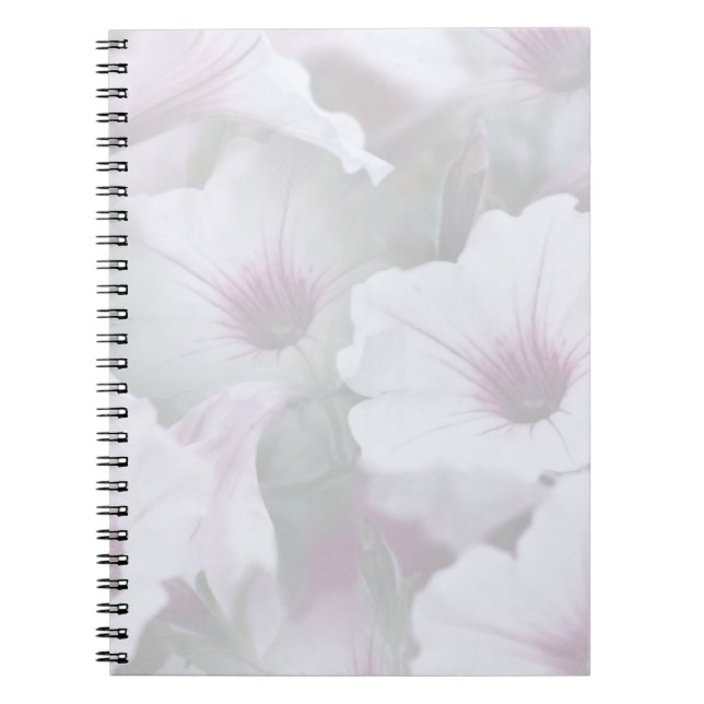 Caderno Espiral Petunias Brancas E Rosa (Frente)