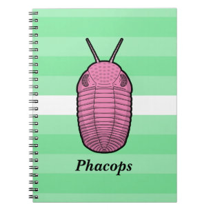Caderno Espiral Phacops Trilobite - Animal Pré-Histórico