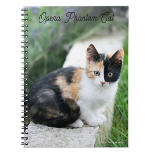 Caderno Espiral Phantom Ópera Cat
