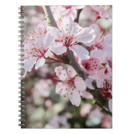 Caderno Espiral Pia Brilhante, Cola Vermelha.