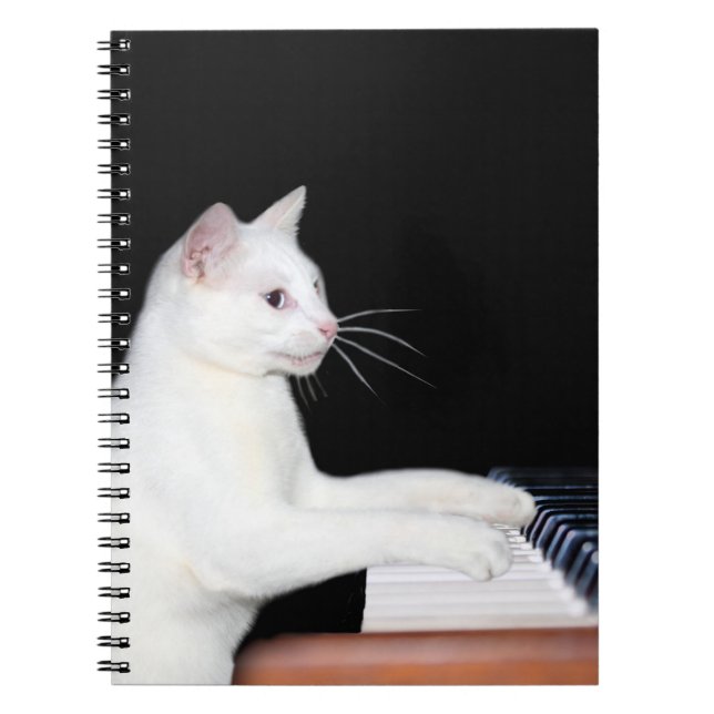 Caderno Espiral Piano brincando de gato (Frente)