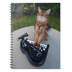 Caderno Espiral Piano Cat, Engraçado Músico Gato Somali Tocando Pi