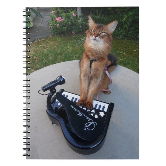 Caderno Espiral Piano Cat, Engraçado Músico Gato Somali Tocando Pi (Frente)